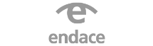 Endace.png