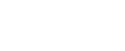 Netskope White Logo Image