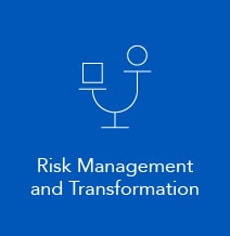 Optiv Federal Risk Management and Transformation