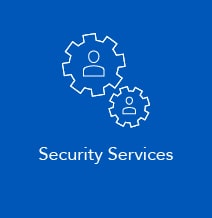 Optiv Federal Security Services
