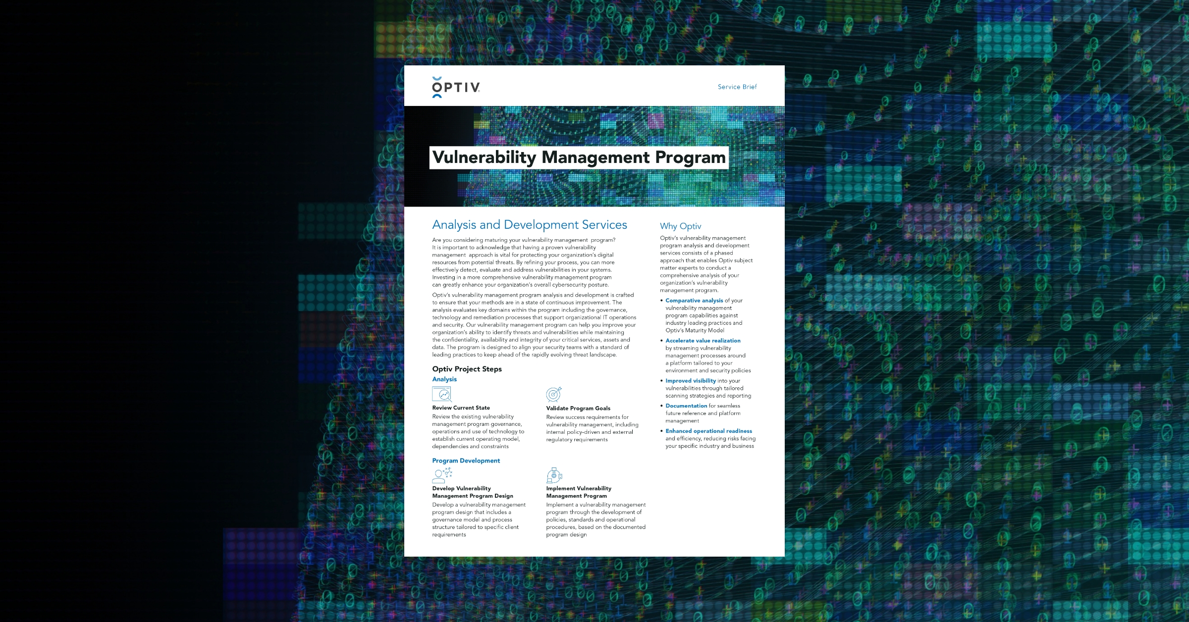 Vulnerability Management Program