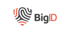 big-id-logo