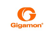Gigamon Partner