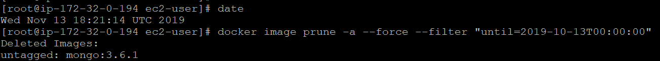 Prune Images within Docker