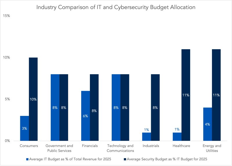 IT Workforce and Security Budget Allocation.