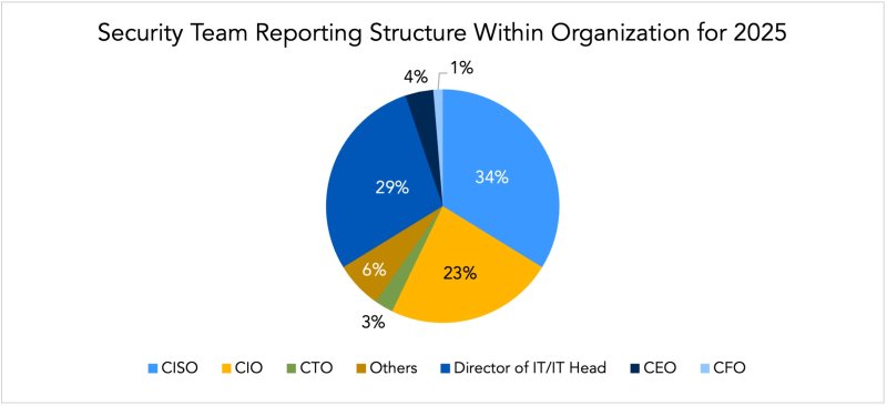 Security Team Reporting Structure