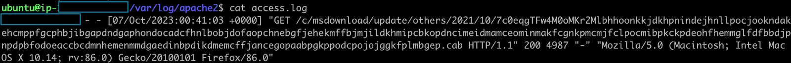 Figure 9 - Apache Access Log on Redirector .png