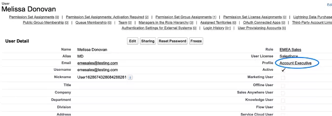 Partner_Architect-Blog_Varonis_Salesforce_2.png