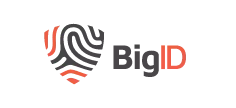 big-id-logo