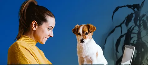 CDAS_AE-SIEM_Puppy_Blog-Interior-Image_List-Images_476x210
