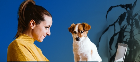 CDAS_AE-SIEM_Puppy_Blog-Interior-Image_List-Images_476x210