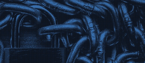 Field-Guides_Digital-Image_template_2020 copyList-Section-Thumbail-Image_476x210