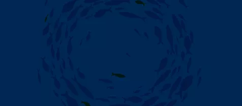 What-fresh-hell-is-this_Phishing-as-a-Service_list_476x210