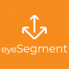 Forescout eyeSegment Graphic